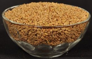 Fenugreek Seeds Sortex Quality Manufacturer Exporter Supplier Producer Unjha Gujarat India