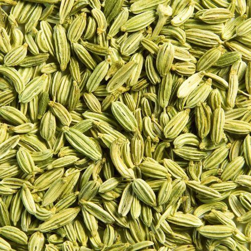 fennel-seeds-1000x1000