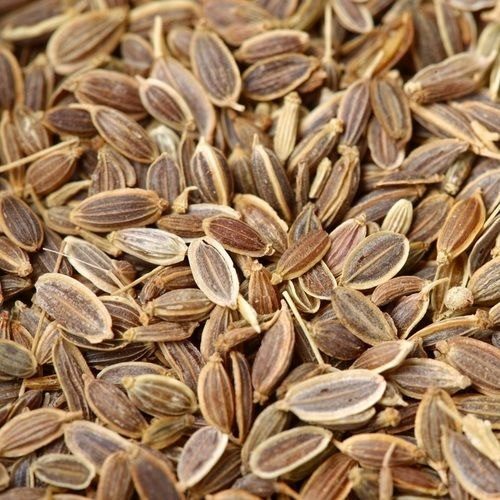 split-dill-seed-1000x1000